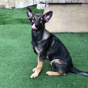 Meet your Posher, Drew